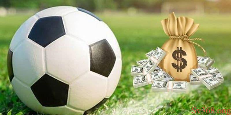 Dựa theo như tình hình thực tế