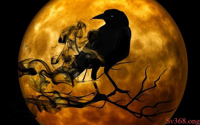 mơ thấy quạ đen