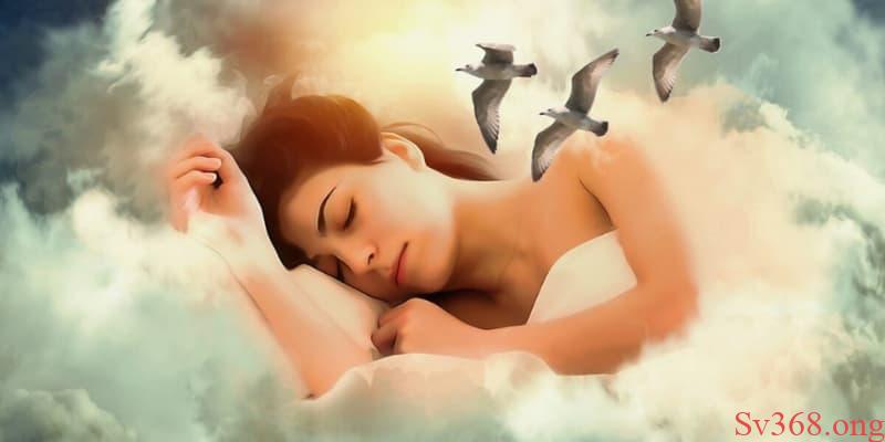 Mơ thấy động vật thì nên lựa chọn các con số nào?