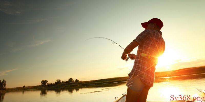Thông điệp chung về việc mơ thấy đi câu cá