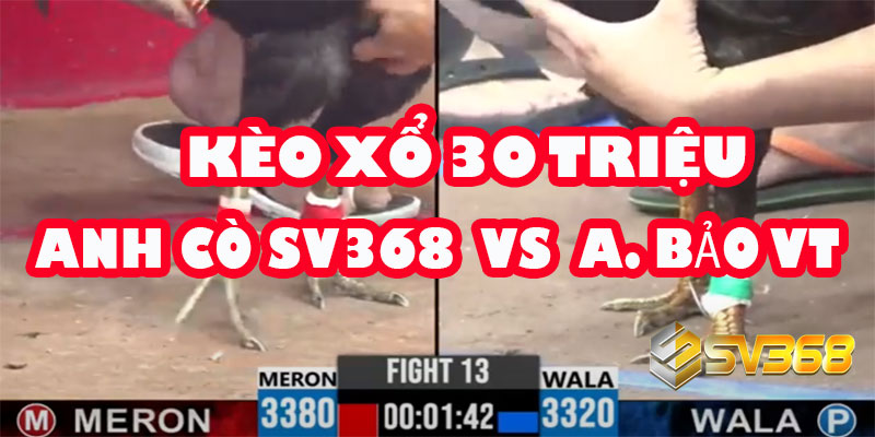Kèo 30 Triệu: Đẳng Cấp SV368 Hay Bản Lĩnh Phố Biển Sẽ Lên Ngôi?